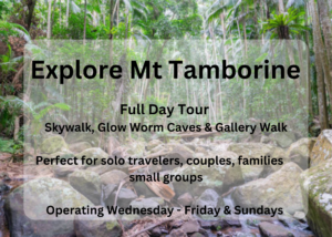 Explore Mt Tamborine Full Day Tour